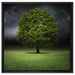 einzelner Baum auf grüner Wiese auf Leinwandbild Quadratisch gerahmt Größe 60x60