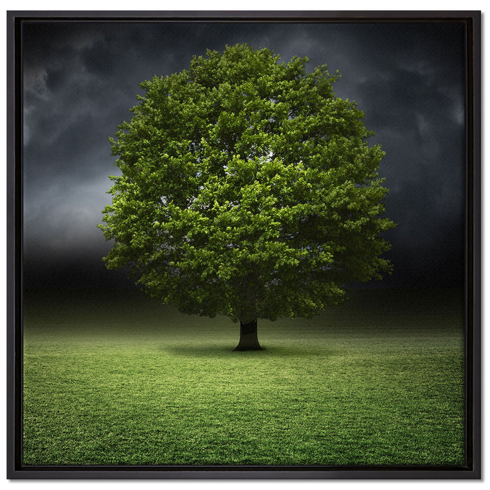 einzelner Baum auf grüner Wiese auf Leinwandbild Quadratisch gerahmt Größe 70x70
