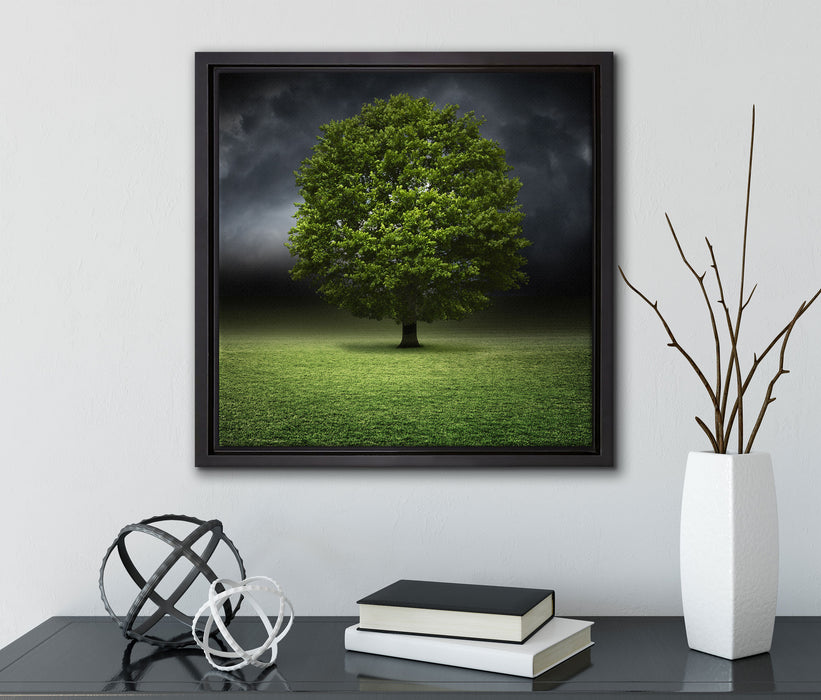einzelner Baum auf grüner Wiese  auf Leinwandbild Quadratisch gerahmt mit Kirschblüten