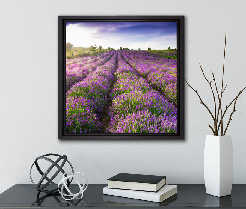 Lavendelfeld Provence  auf Leinwandbild Quadratisch gerahmt mit Kirschblüten