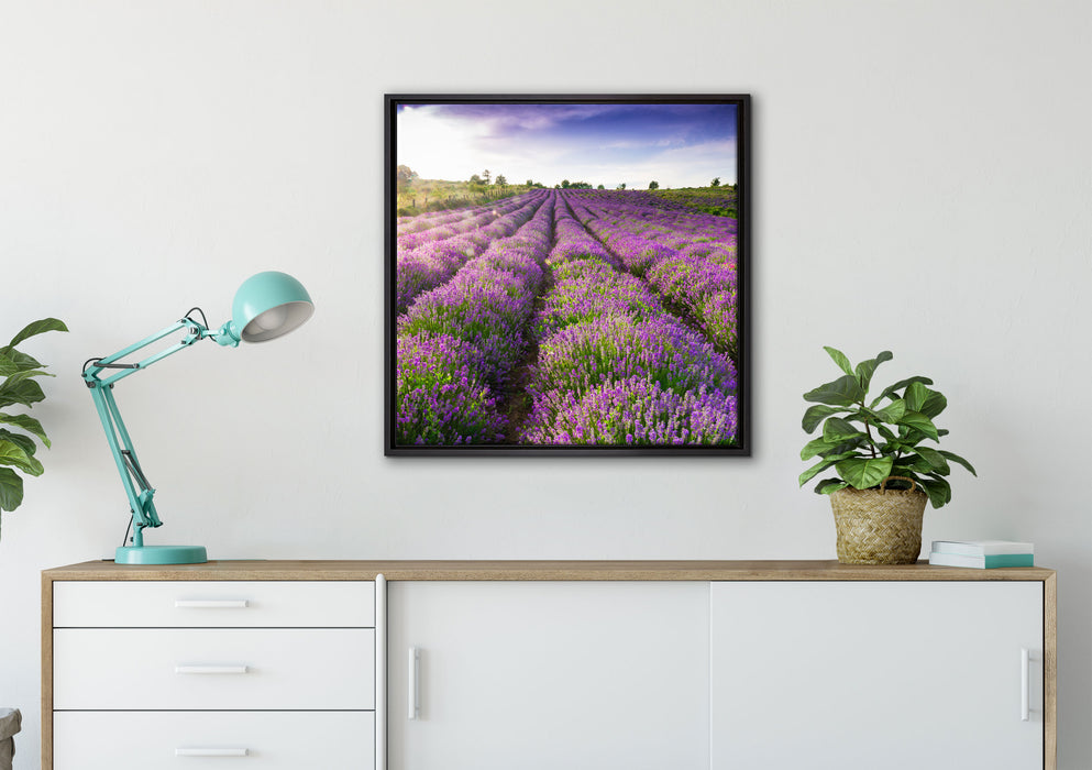 Lavendelfeld Provence auf Leinwandbild gerahmt Quadratisch verschiedene Größen im Wohnzimmer