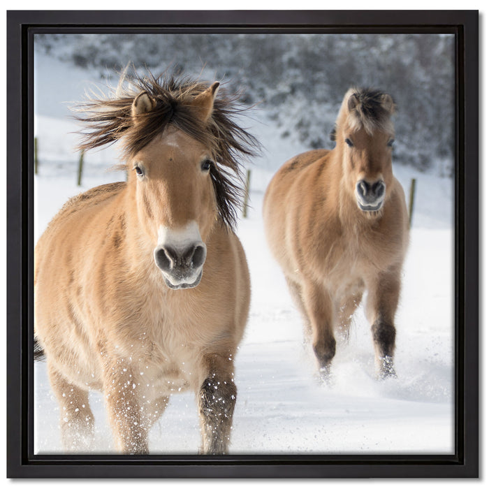 Pferd im Schnee auf Leinwandbild Quadratisch gerahmt Größe 40x40