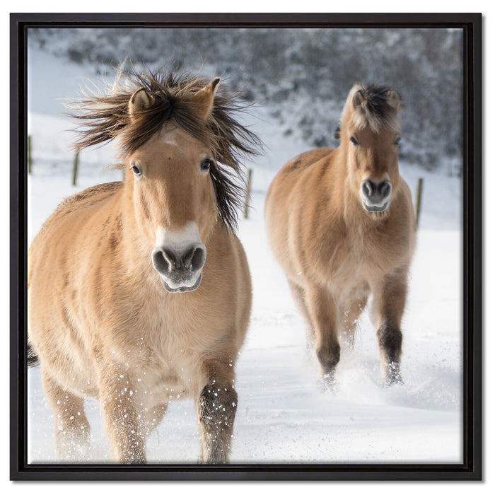 Pferd im Schnee auf Leinwandbild Quadratisch gerahmt Größe 60x60