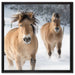 Pferd im Schnee auf Leinwandbild Quadratisch gerahmt Größe 60x60