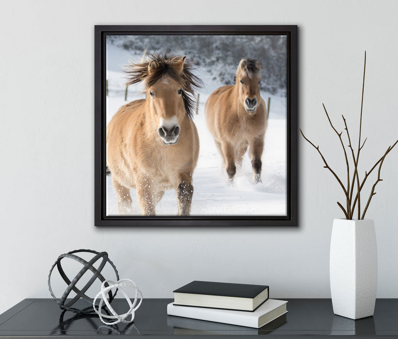 Pferd im Schnee  auf Leinwandbild Quadratisch gerahmt mit Kirschblüten