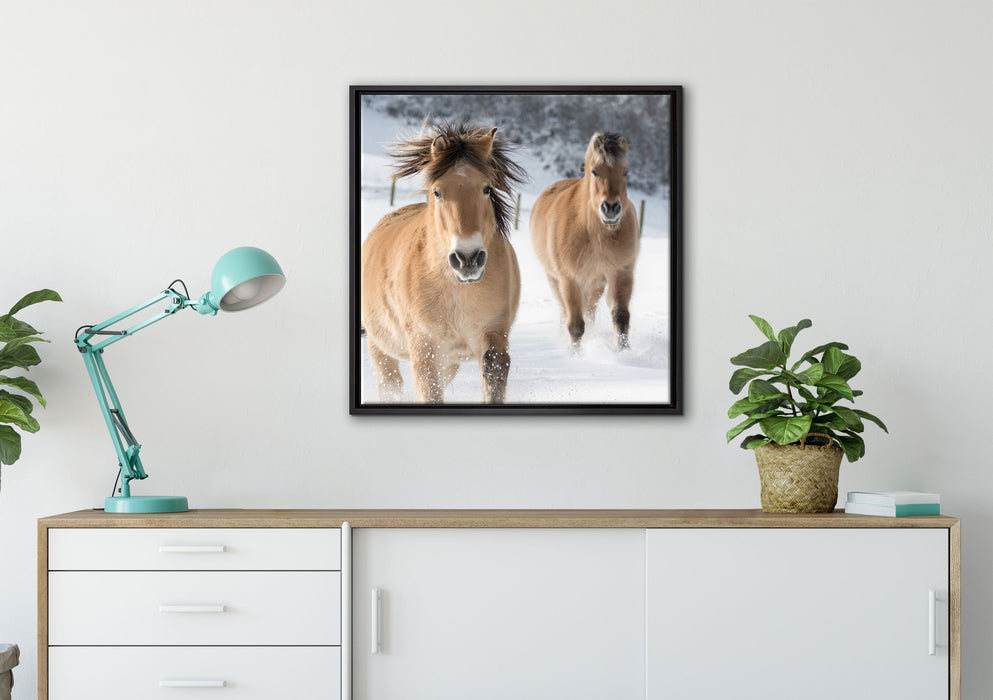 Pferd im Schnee auf Leinwandbild gerahmt Quadratisch verschiedene Größen im Wohnzimmer