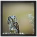 Kauz bestaunt Blatt auf Leinwandbild Quadratisch gerahmt Größe 40x40