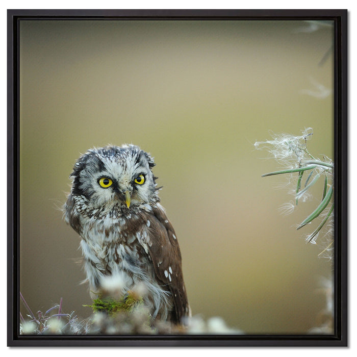 Kauz bestaunt Blatt auf Leinwandbild Quadratisch gerahmt Größe 60x60