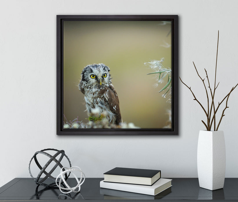 Kauz bestaunt Blatt  auf Leinwandbild Quadratisch gerahmt mit Kirschblüten