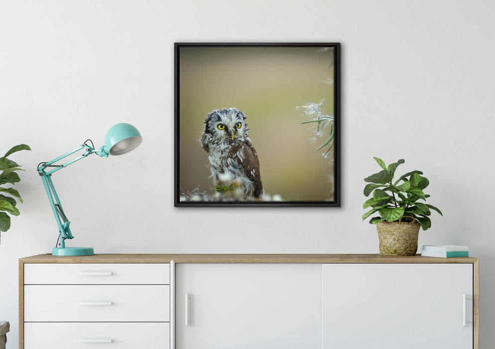Kauz bestaunt Blatt auf Leinwandbild gerahmt Quadratisch verschiedene Größen im Wohnzimmer