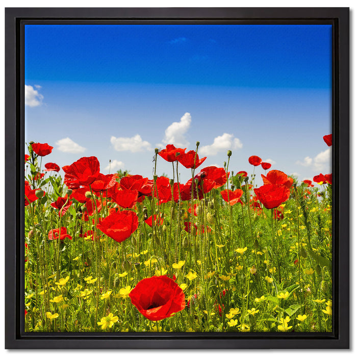 Mohnwiese auf Leinwandbild Quadratisch gerahmt Größe 40x40