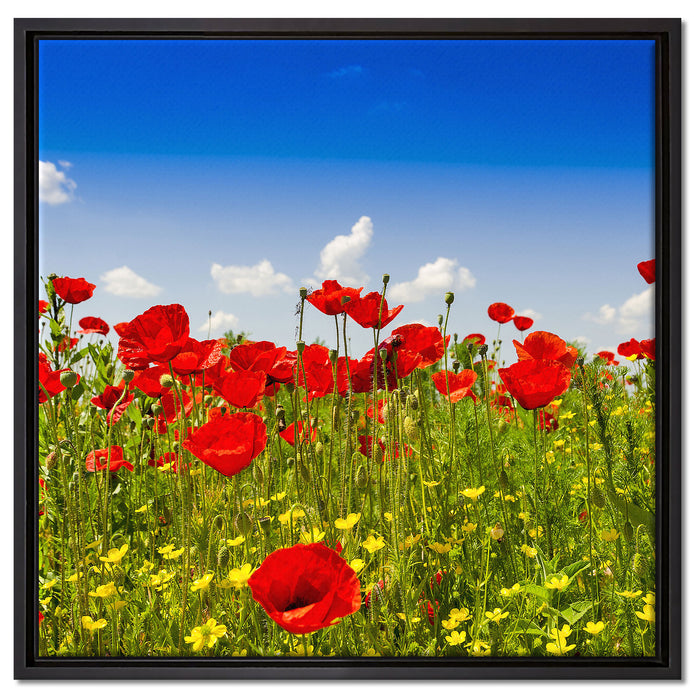 Mohnwiese auf Leinwandbild Quadratisch gerahmt Größe 60x60