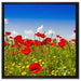 Mohnwiese auf Leinwandbild Quadratisch gerahmt Größe 60x60