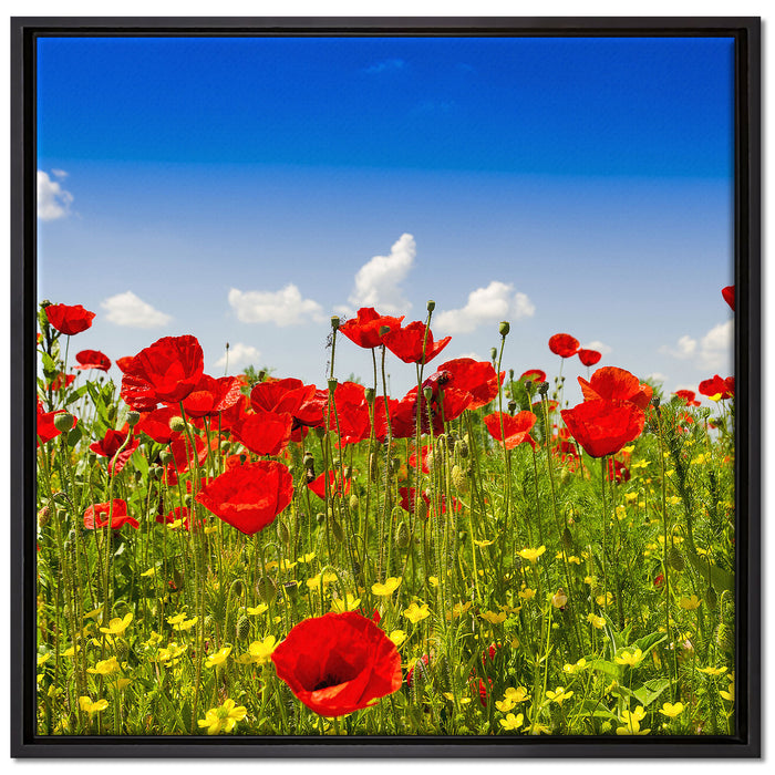 Mohnwiese auf Leinwandbild Quadratisch gerahmt Größe 70x70