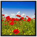 Mohnwiese auf Leinwandbild Quadratisch gerahmt Größe 70x70