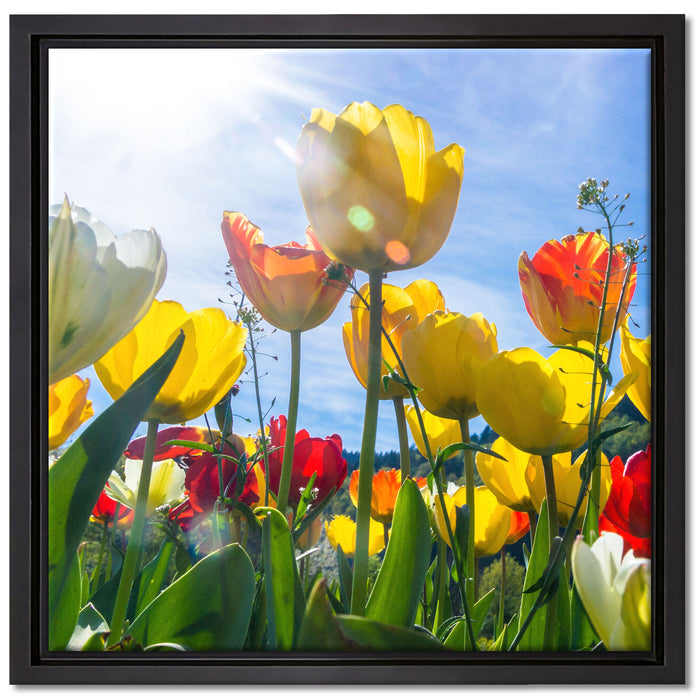 Wiese Froschperspektive auf Leinwandbild Quadratisch gerahmt Größe 40x40