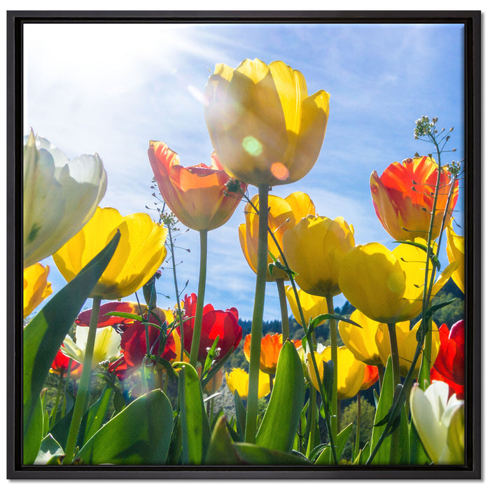 Wiese Froschperspektive auf Leinwandbild Quadratisch gerahmt Größe 70x70