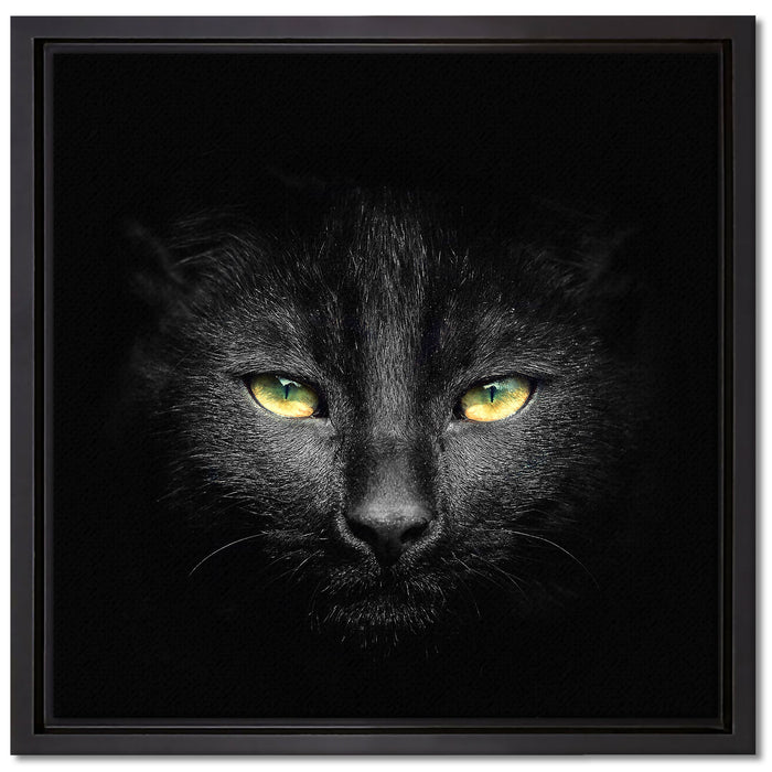 Dark schwarzes Katzengesicht auf Leinwandbild Quadratisch gerahmt Größe 40x40