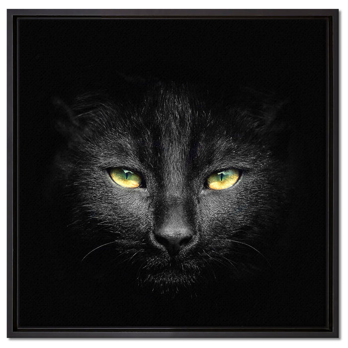 Dark schwarzes Katzengesicht auf Leinwandbild Quadratisch gerahmt Größe 60x60