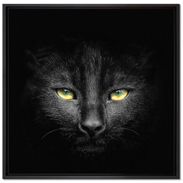 Dark schwarzes Katzengesicht auf Leinwandbild Quadratisch gerahmt Größe 70x70