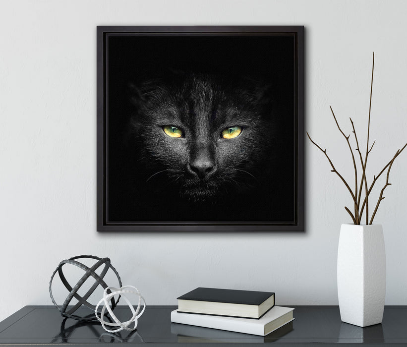Dark schwarzes Katzengesicht  auf Leinwandbild Quadratisch gerahmt mit Kirschblüten