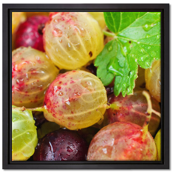 Leckere Stachelbeeren auf Leinwandbild Quadratisch gerahmt Größe 40x40