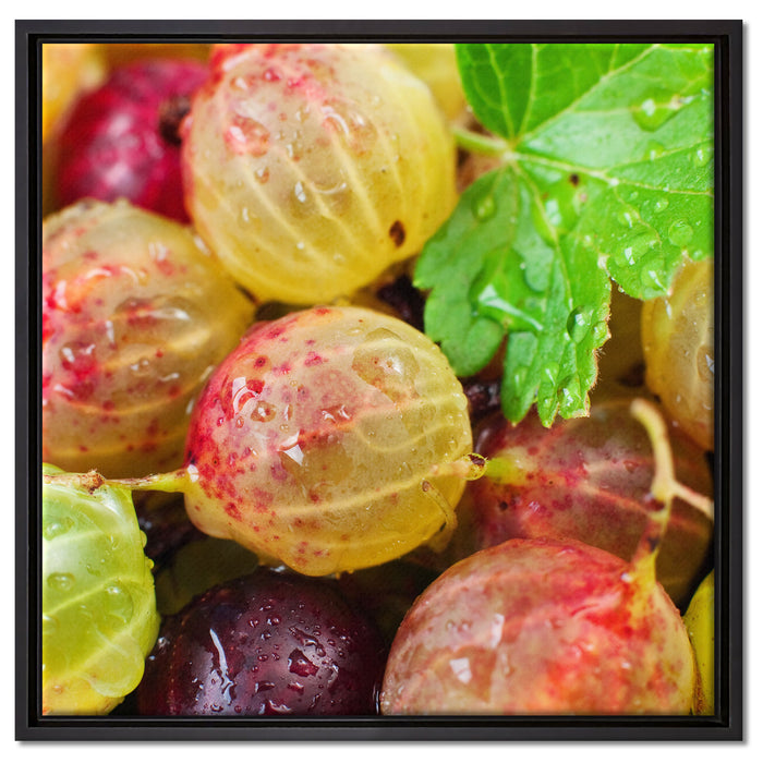 Leckere Stachelbeeren auf Leinwandbild Quadratisch gerahmt Größe 60x60
