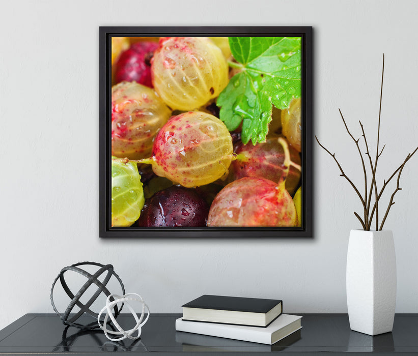 Leckere Stachelbeeren  auf Leinwandbild Quadratisch gerahmt mit Kirschblüten