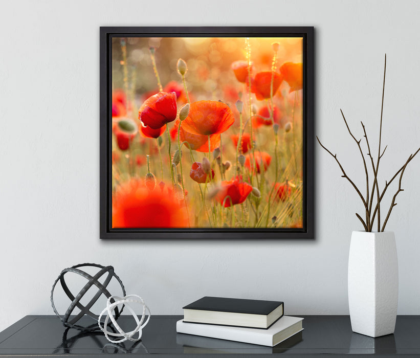 Mohnwiese  auf Leinwandbild Quadratisch gerahmt mit Kirschblüten