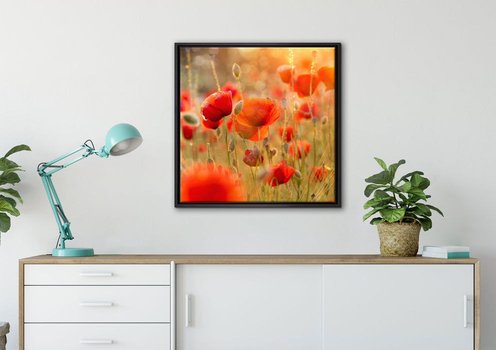 Mohnwiese auf Leinwandbild gerahmt Quadratisch verschiedene Größen im Wohnzimmer