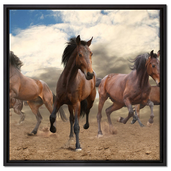 Western Pferde Cowboy auf Leinwandbild Quadratisch gerahmt Größe 60x60