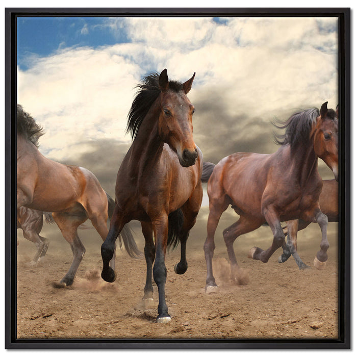 Western Pferde Cowboy auf Leinwandbild Quadratisch gerahmt Größe 70x70