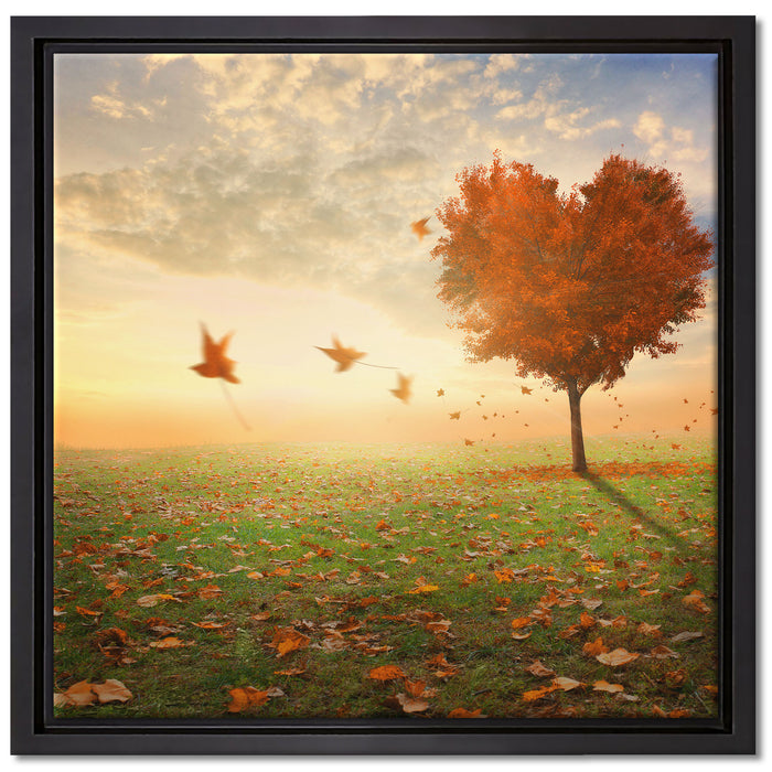 Herzbaum im Herbst auf Leinwandbild Quadratisch gerahmt Größe 40x40