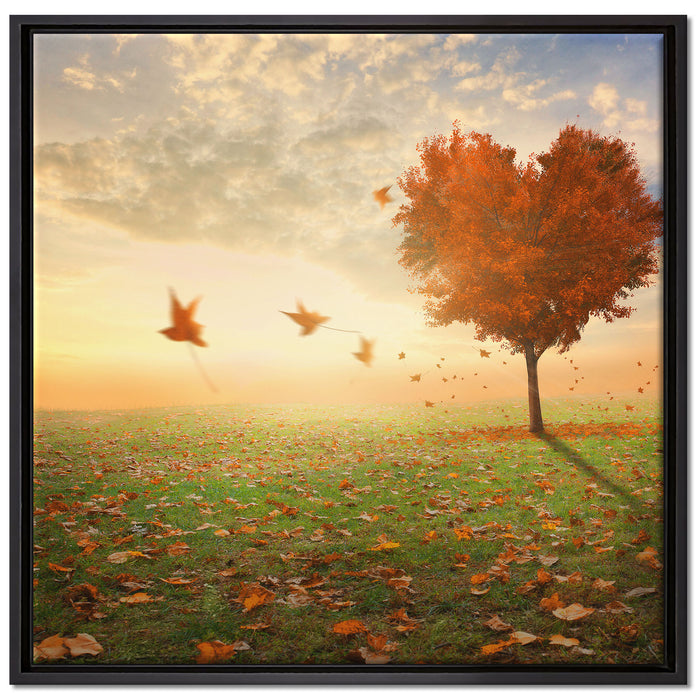 Herzbaum im Herbst auf Leinwandbild Quadratisch gerahmt Größe 70x70