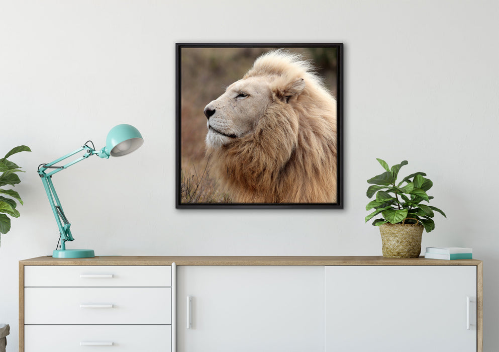 Weißer Löwe im Gebirge auf Leinwandbild gerahmt Quadratisch verschiedene Größen im Wohnzimmer