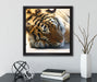 Verschlafener Tiger  auf Leinwandbild Quadratisch gerahmt mit Kirschblüten