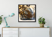Verschlafener Tiger auf Leinwandbild gerahmt Quadratisch verschiedene Größen im Wohnzimmer