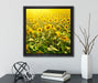Riesiges Sonnenblumenfeld  auf Leinwandbild Quadratisch gerahmt mit Kirschblüten