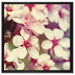 Kirschblüten Retro auf Leinwandbild Quadratisch gerahmt Größe 60x60