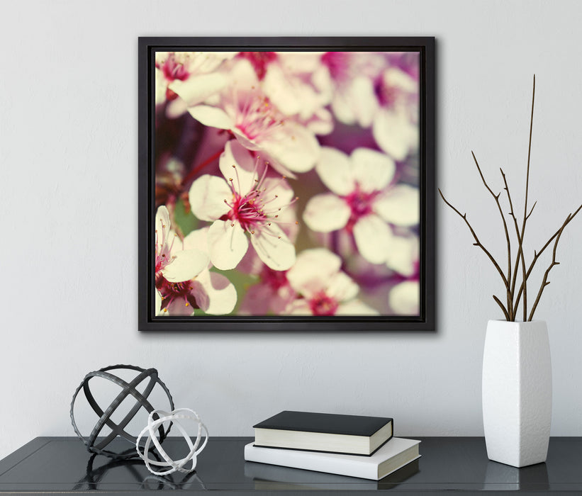 Kirschblüten Retro  auf Leinwandbild Quadratisch gerahmt mit Kirschblüten