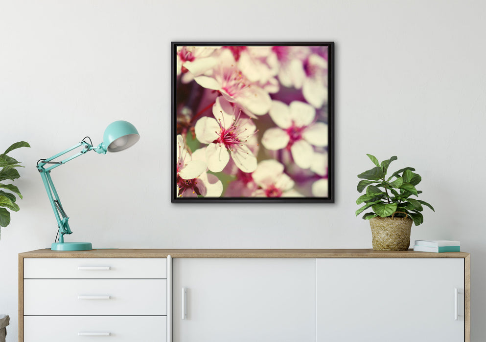 Kirschblüten Retro auf Leinwandbild gerahmt Quadratisch verschiedene Größen im Wohnzimmer