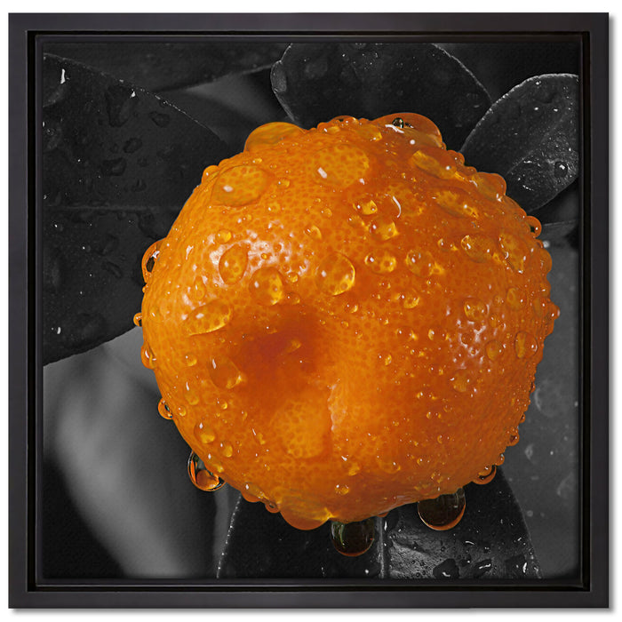 Orange mit Wassertropfen auf Leinwandbild Quadratisch gerahmt Größe 40x40