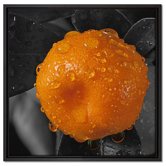 Orange mit Wassertropfen auf Leinwandbild Quadratisch gerahmt Größe 60x60