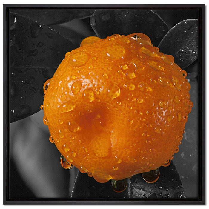 Orange mit Wassertropfen auf Leinwandbild Quadratisch gerahmt Größe 70x70