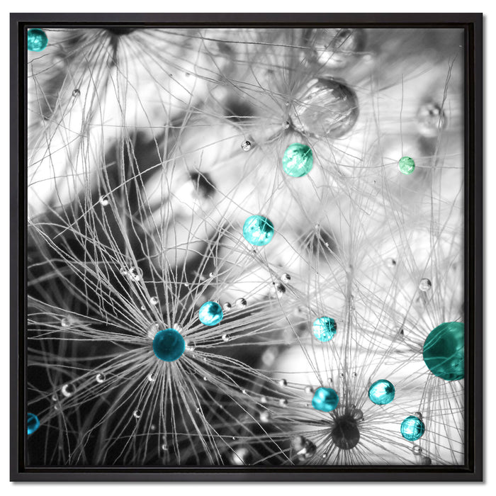 Wassertropfen auf Pusteblume auf Leinwandbild Quadratisch gerahmt Größe 60x60