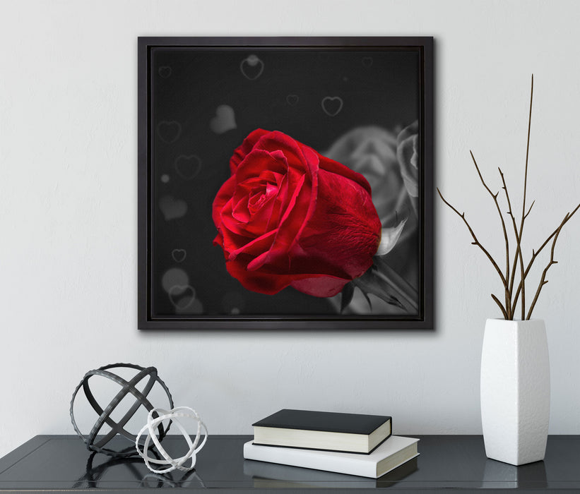 rote Rosen zum Valentinstag  auf Leinwandbild Quadratisch gerahmt mit Kirschblüten