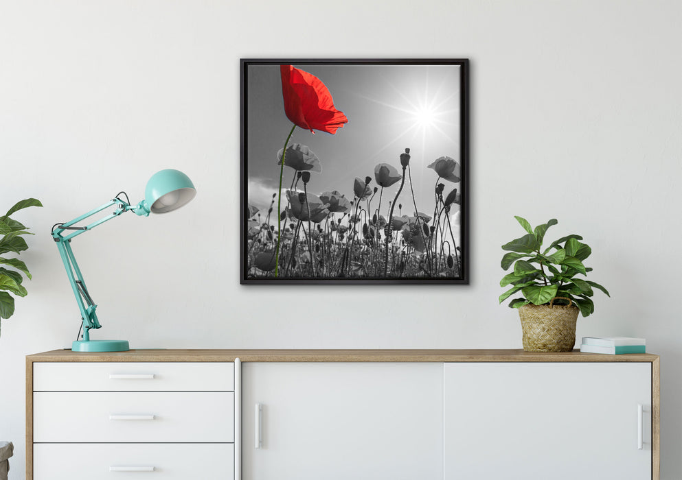 Mohnblumenfeld im Sommer auf Leinwandbild gerahmt Quadratisch verschiedene Größen im Wohnzimmer