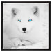 Polarfuchs mit strahlenden Augen auf Leinwandbild Quadratisch gerahmt Größe 60x60