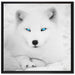 Polarfuchs mit strahlenden Augen auf Leinwandbild Quadratisch gerahmt Größe 70x70