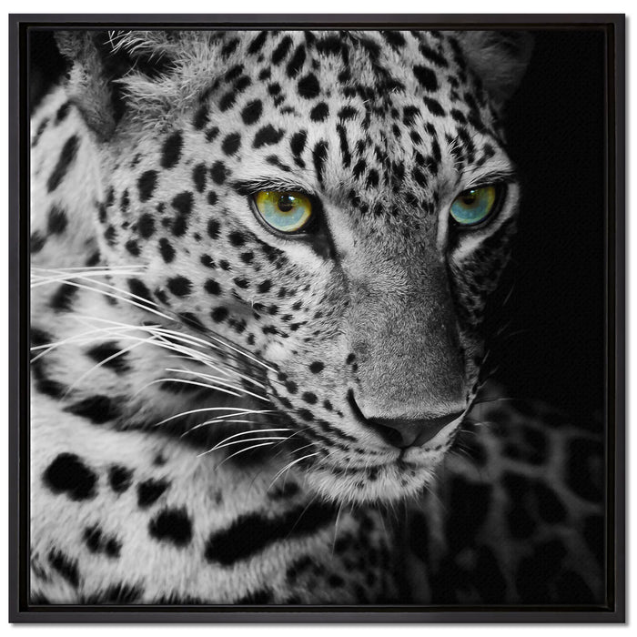 Leopardenkopf auf Leinwandbild Quadratisch gerahmt Größe 70x70